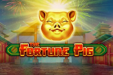 Fortune pig