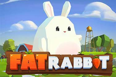 Fat rabbit